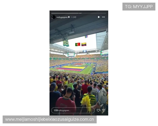 世界杯葡萄牙VS哥伦比亚球迷活动全景报道:现场氛围与球迷热情大揭秘 世界杯葡萄牙VS哥伦比亚球迷活动全景报道:现场氛围与球迷热情大揭秘